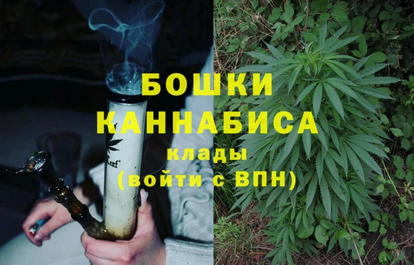 PSILOCYBIN Каменка