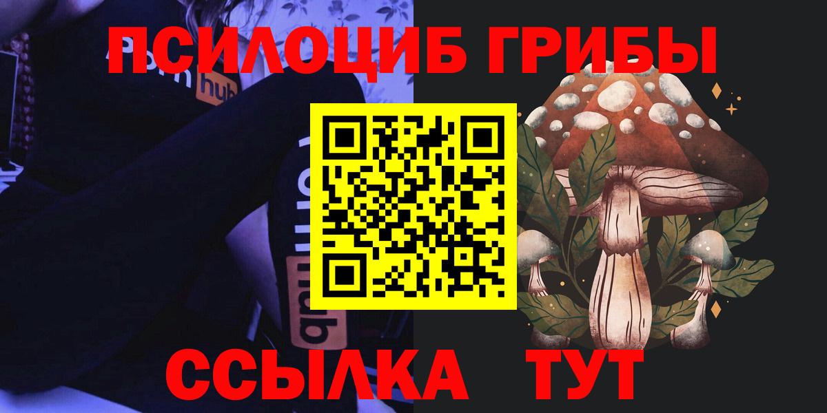 Псилоцибиновые грибы MAGIC MUSHROOMS  Вход с VPN  Карпинск 
